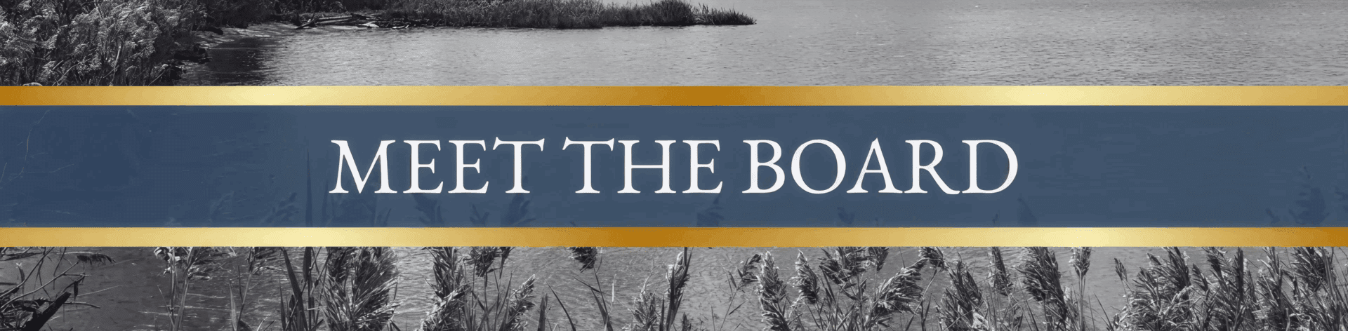 Meet the Board banner over lake scene